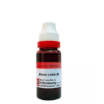 Dr.Reckeweg Pinus Lambertiana Mother Tincture (Q) for Constipation, Sore Eyes