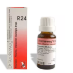 Dr.Reckeweg R24 (Pleurasin) (22ml) for Chest Pain, Rib Pains, Congestion of Nose