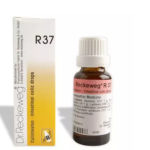 Dr.Reckeweg R37 (Colinteston) (22ml) for  Abdominal pain, Indigestion, Gastritis
