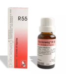 Dr.Reckeweg R55 (Rutavine) (22ml) for Injuries, Wounds, Septic Conditions