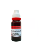 Dr.Reckeweg Stellaria Media Mother Tincture (Q) for Itching, Psoriasis, Soreness