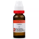 Dr.Reckeweg Cantharis (11ml) Dilution for Eczema, Anger, Burning Painful Urination