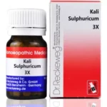 Dr.Reckeweg Kali Sulphuricum (20gm Tablets) for Breathlessness,Rash, Eczema, Hairfall