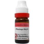 Dr.Reckeweg Plantago Major (11ml) Dilution for Abscess, Infection, Decayed tooth