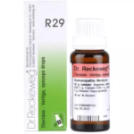 Dr.Reckeweg R29 (Theridon) (22ml) for Vertigo, Travel Motion and Sea Sickness