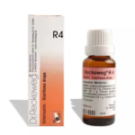 Dr.Reckeweg R4 (Enterocolin) (Drop) (22ml) for Loose Motions, Nausea, Weakness