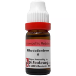 Dr.Reckeweg Rhododendron Chrysanthum (11ml) Dilution for Pains in Heel, Joints, Heat of Hands