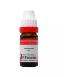 Dr.Reckeweg Strychninum (11ml) Dilution for Stroke, Numbness, Convulsion