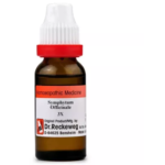 Dr.Reckeweg Symphytum Officinale (11ml) Dilution for Fall, Blows, Knee Pains