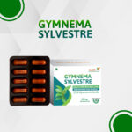 Allen Gymnema Sylvestre (30 Capsule) For balance the blood sugar levels, type 1 diabetes