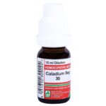 Adel Pekana Caladium Seguinum (10ml) Dilution for Early ejaculation, Weak Erections