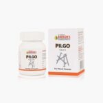 Bakson Homeopathic Pilgo Tablets For Bleeding & Painful Piles, Fissures at Anus, Constipation