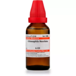 Willmar Schwabe India Chimaphila Maculata Dilution (30ml) For High Temperature, Weakness