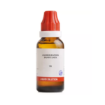 BJain Andrographis Paniculata Liquid Dilution (30ML) For Cold, Pain in Abdomen, Liver Enlargement, Appetite Loss