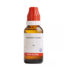 BJain Berberis Vulgaris Liquid Dilution (30ML) For Renal Calculi, Arthritic Pains, Lumbago, Urinary Incontinence