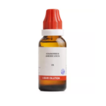 BJain Ceanothus Americanus Liquid Dilution (30ML) For Spleen Remedy, Pain in Abdomen, Mouth Ulcers, Frequent Urination