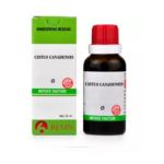 BJain Cistus Canadensis Q Mother Tincture For Sensitive to Cold, Tonsils, Itching without Eruption