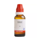 BJain Echinacea Purpurea Liquid Dilution (30ML) For Boosts Immunity System, Relieves Cold, Recurrent Infections, Swellings