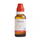 BJain Ginkgo Biloba Liquid Dilution (30ML) For Improves Concentration, Circulation & Oxygenation, Boosts Memory