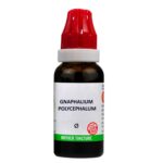 BJain Gnaphalium Polycephalum Q Mother Tincture For Joint Pain, Stiffness, Back Pain, Sciatica, Colic, Muscle Pain, Prostate