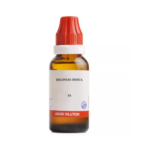 BJain Helonias Dioica Liquid Dilution (30ML) For Anemia, Weakness, Albumiuria, Back Pain, Profuse Menses, Stiffness