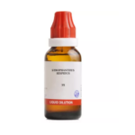BJain Strophanthus Hispidus Liquid Dilution (30ML) For Craving for Alcohol, Irregular Heart Beats, Red Spots in Skin