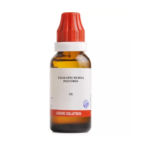 BJain Thalapsi Bursa Pastoris Liquid Dilution (30ML) For Chronic Neuralgia, Female Problems & Urinary Complaints