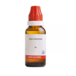 BJain Thea Chinensis Liquid Dilution (30ML) For Sleeplessness, Weakness, Ovary Pain, Headache, Nausea After Eating