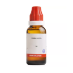 BJain Yerba Santa Liquid Dilution (30ML) For Wheezing, Bronchitis & Frequent Cough with Chest Congestion