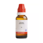 BJain Zingiber Officinale Liquid Dilution (30ML) For Cough, Hyperacidity, Gastritis, Diarrhoea & Urinary Problems