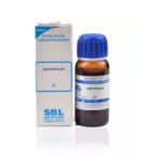 SBL Absinthium 1X (Q) For Delirium, Hallucinations, Nervous Excitement, Sleeplessness, Fits