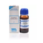SBL Ailanthus Glandulosus 1X (Q) For Headache, Follicular Tonsillitis, Raised Body Temperature, Swelling