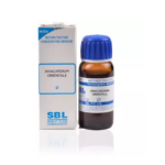 SBL Anacardium Orientale 1X (Q) For Brain-Fag, Constipation, Headache, Heart Affections, Mental Weakness, Joint Pain