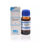 SBL Andrographis Paniculata (Kalmegh) 1X (Q) For Common Cold, Pain in Abdomen, Liver Enlargement, Appetite Loss