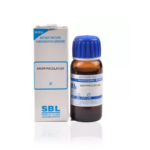 SBL Arum Maculatum 1X (Q) For Bleeding From Nose, Teeth, Pain In Abdomen, Cough Stuck In Throat