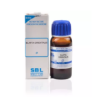 SBL Blatta Orientalis 1X (Q) For Cough, Dyspnoea, Sore Throat, Swollen Ankles, Hot Flushes