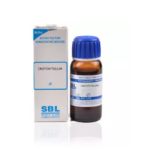 SBL Croton Tiglum 1X (Q) For Colic, Urticaria, Summer Complaints, Expels Worm, Breast Pains