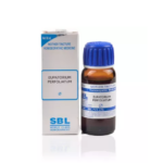 SBL Eupatorium Perfoliatum 1X (Q) For Bone Pains, Heel Pain, Muscle Pains, Gouty Swellings On body, Headache