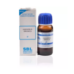 SBL Hamamelis Virginica 1X (Q) For Pains After Operations, Enlarged Veins, Piles, Scrotal Swelling