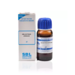 SBL Helianthus Annuus 1X (Q) For Nausea, Vomiting, Enlarged Spleen, Black Stool, Urticaria