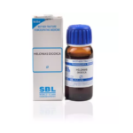 SBL Helonias Diodica 1X (Q) For Anemia, Weakness, Albumiuria, Back Pain, Profuse Menses, Stiffness