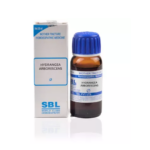 SBL Hydrangea Arborescens 1X (Q) For Enlarged Prostate, Difficult Urge to Urine, Renal Stones