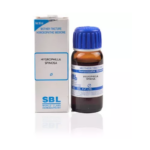 SBL Hygrophilla Spinosa 1X (Q) For Flatulence, Diarrhea, Dysentery, Painful Urine, Calculi, High Temperature