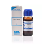 SBL Lappa Major 1X (Q) For Styes, Pimples, Acne, Scars, Scalp Eczema, Pain In Tendon