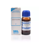 SBL Ledum Palustre 1X (Q) For Small Joint Pains, Coldness Of Body, Pimples, Acne, Eczema, Lichen