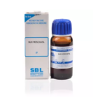 SBL Nux Moschata 1X (Q) For Irregular Menses, Sleepiness, Dry Mouth, Colic, Starts & Stop Menses