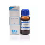 SBL Viscum Album 1X (Q) For Tremors, Sciatica, Nerve Pains, Ovarian Pains, Vertigo, Small Boils