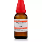 Willmar Schwabe India Polyporus Pinicola Dilution (30ml) For Tonsils Swollen, Neuralgic Pains