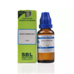 SBL Agave Americana Dilution (30ml) For Stomach Pain, Hydrophobia, Anxiety Attacks, Wound Healing
