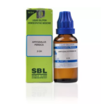 SBL Amygdalus Persica Dilution (30ml) For Morning Sickness, Vomiting, Nausea, Blood in Urine, Tonsilitis